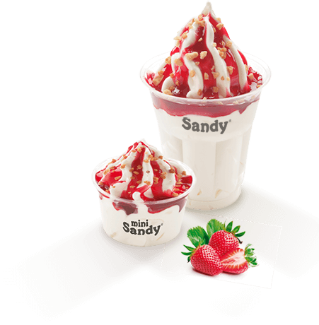 sandy-mini-fresa